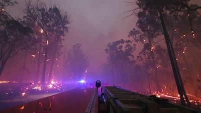 Conservation efforts may have worsened catastrophic bushfires in south-east Australia, study finds