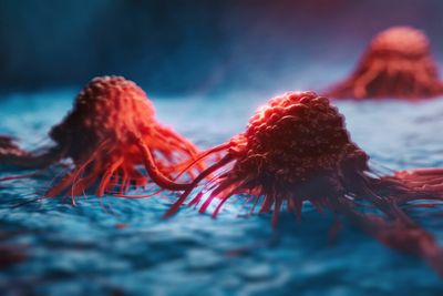 Mutations make cancer cells immortal