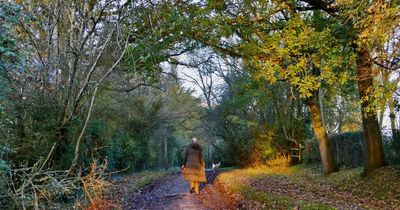 UK weather forecast: ‘Second spring’ as Britain sees record temperatures for November