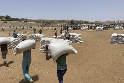 Food aid into Ethiopia’s Tigray ‘not matching needs’: UN