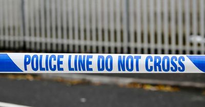 PSNI investigated reported arson in Larne