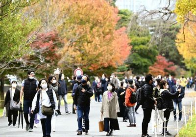 Palace reopens street to public for viewing autumn foliage