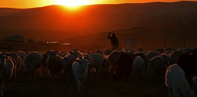 Land reform in South Africa: 5 myths about farming debunked