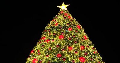 Northern Ireland Protocol cited as possible cause for NI council not getting GB Christmas tree