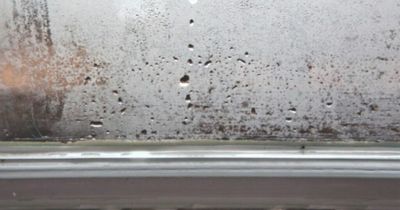 Expert's easy way to get rid of bedroom window condensation