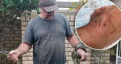 Boy, 5, survives after being dragged into swimming pool by 10ft python in horror attack