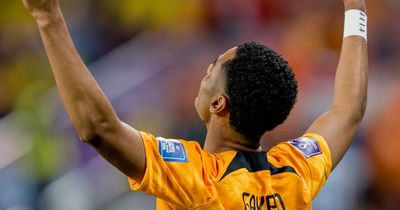 'We're deluded' Leeds United supporters give up on Cody Gakpo chase after World Cup showing