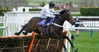 Constitution Hill hailed as "freakish" after winning Fighting Fifth Hurdle
