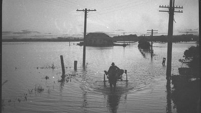 Australian floods of 1950s were driven by same weather forces behind this year's record rains