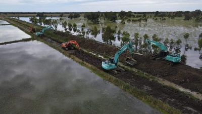 Moulamein farmers swap harvesters for excavators to maintain levees against highest flood in memory