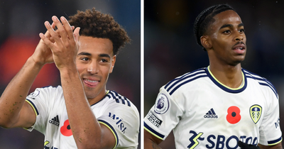 Leeds United supporters' player ratings with Tyler Adams and Crysencio Summerville leading the way