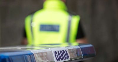 Pedestrian in his 40s killed in horror Galway road crash as gardaí close road