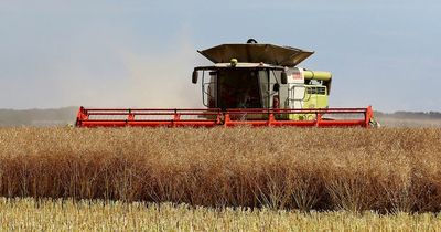 Tynegrain posts record profits amid 'volatile and challenging' global market