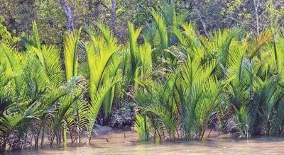 Climate Change Tempered By Protected Areas For Biodiversity