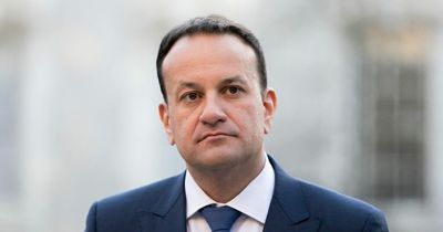 Tanaiste Leo Varadkar would allow rank and file gardai have guns