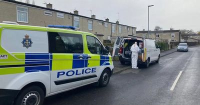 Forensics at the scene of a serious assault in County Durham