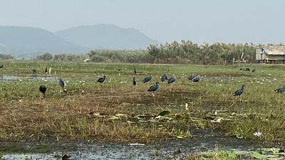 Young Indians help revive coastal towns reeling from climate change