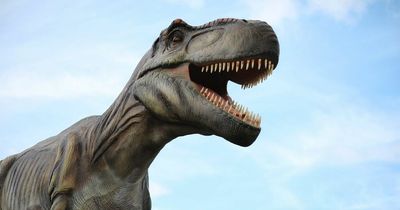 What if the dinosaurs hadn't gone extinct? Why our world might look very different