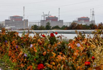 Ukraine nuclear boss says he sees signs Russia may leave occupied plant