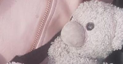 Teddy bear lost in Nottingham city centre leaving four-year-old devastated
