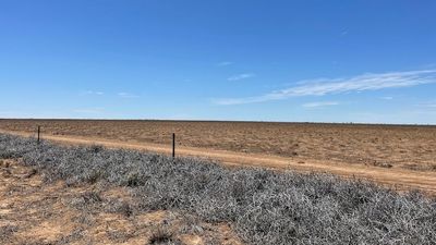 La Niña forgot Queensland towns still in drought, despite widespread rain