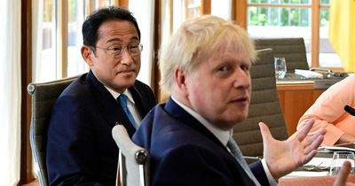 Post-Brexit trade deal with Japan branded failure as exports plummet