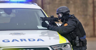 GRA opposed to arming rank and file gardai - but wants more specialist gun officers