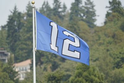 Cal Raleigh to raise the 12th Man Flag