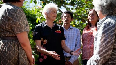 Fiona Stanley and advocates urge for inquiry, greater Indigenous involvement in rehabilitation in juvenile detention