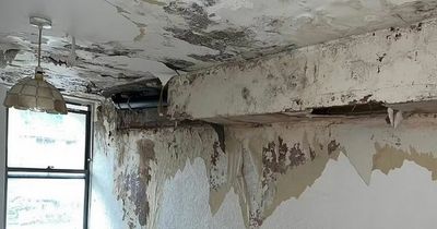 Inside family's horror home with mould, mushrooms and sewage seeping through its walls