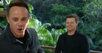 ITV I'm A Celebrity viewers spot Ant and Dec's 'relief' as Matt Hancock finishes third