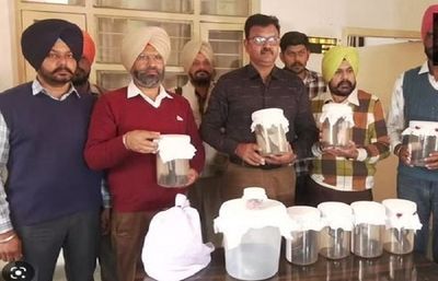 Smuggler Arrested With Heroin, Illegal Pistols By Punjab Cops