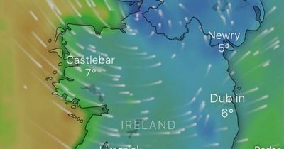 Met Eireann predicts subzero blast for Dublin as expert pinpoints when 'winter starts'