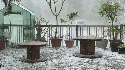 Port Macquarie battered by sudden hail storm, as wild weather hits NSW Mid North Coast