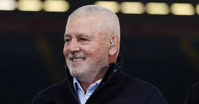 Warren Gatland's former Wales player urges WRU not to appoint him again