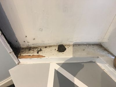 Airbnb guest shocked after paying £2,750 to stay at ‘shabby and dirty’ Edinburgh flat