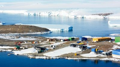 Australian Antarctic Division boss says 'self-reinforcing culture' limited internal authority to make change