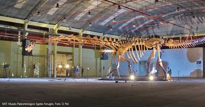 Biggest dinosaur to ever walk the Earth is coming to UK - and barely fits inside museum