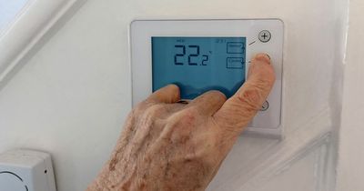 Emergency blackout plan could launch TOMORROW amid powercut fears