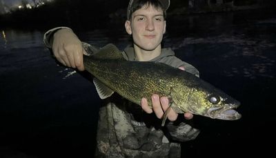 Walleye catch a good sign for the Chicago River system