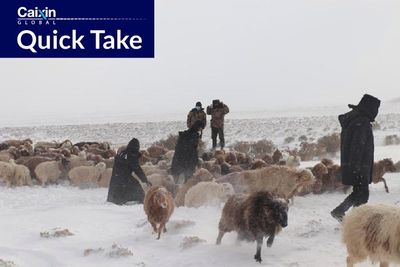 Cold Snap in Northwest China Leaves Livestock Trapped and Herdsmen Missing