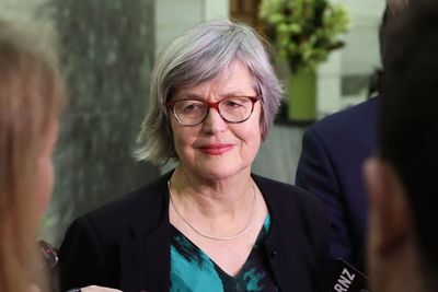 The chaos behind the Greens' controversial Three Waters amendment