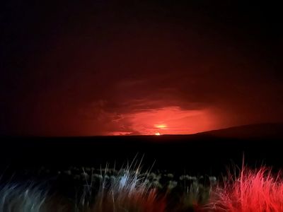 Hawaii volcano, world’s largest, erupts for first time in decades