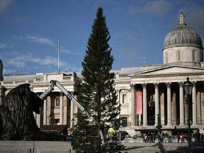 ‘Pathetic’ state of Trafalgar Square Christmas tree, gifted from Norway, sparks festive debate