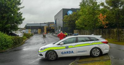 Teen attacked outside Dublin Leaving Cert party was stabbed seven times