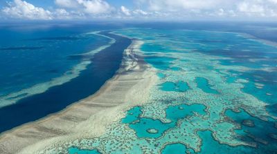 UN: Great Barrier Reef Should Be on Heritage ‘Danger’ List