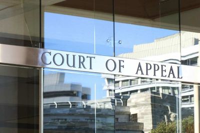 Parents of disabled children take fight to Court of Appeal