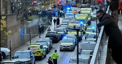 London stabbing: Pedestrian stabbed to death in broad daylight with another in hospital