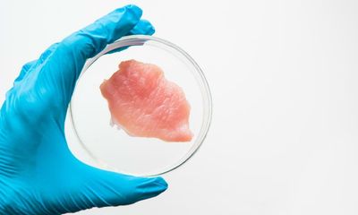 Lab-grown food is no way to nourish the planet