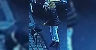 Man and his dog attacked in town centre by dog